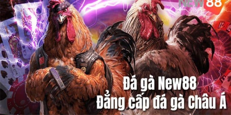 đá gà tre trực tiếp